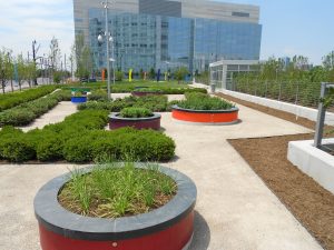 NCH Courtyard